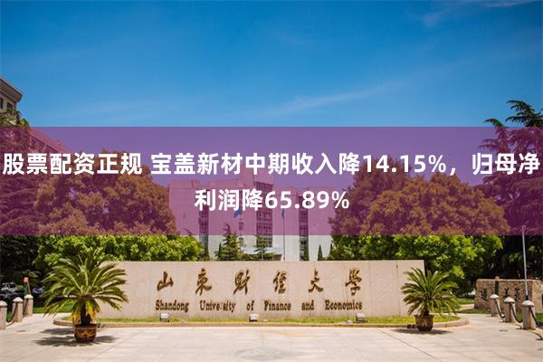 股票配资正规 宝盖新材中期收入降14.15%，归母净利润降65.89%