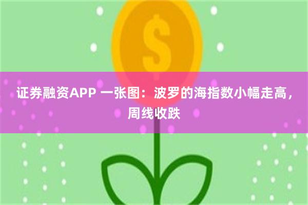 证券融资APP 一张图：波罗的海指数小幅走高，周线收跌