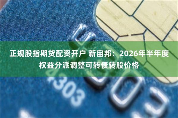 正规股指期货配资开户 新宙邦：2026年半年度权益分派调整可转债转股价格