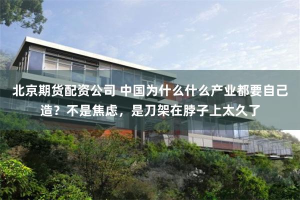 北京期货配资公司 中国为什么什么产业都要自己造？不是焦虑，是刀架在脖子上太久了
