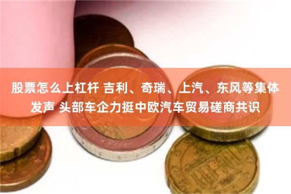 股票怎么上杠杆 吉利、奇瑞、上汽、东风等集体发声 头部车企力挺中欧汽车贸易磋商共识